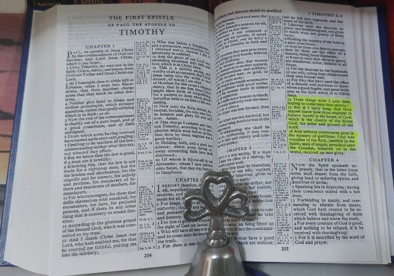 Découvrez le jeu incendiaire d'Uncrossable Rush, un jeu de roulette dynamique Découvrez le jeu incendiaire d'Uncrossable Rush, un jeu de roulette dynamique